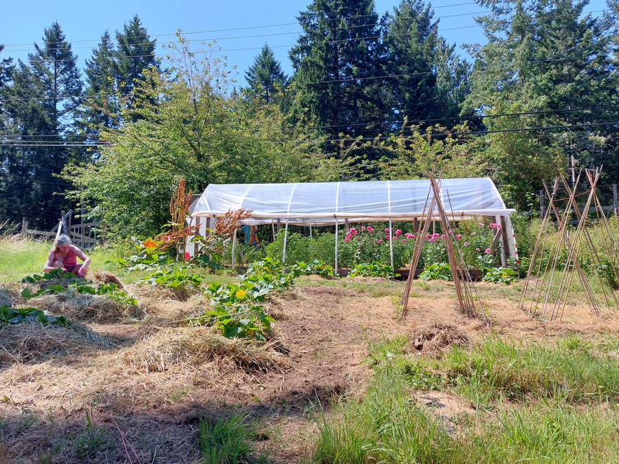 The Copper Kettle Garden