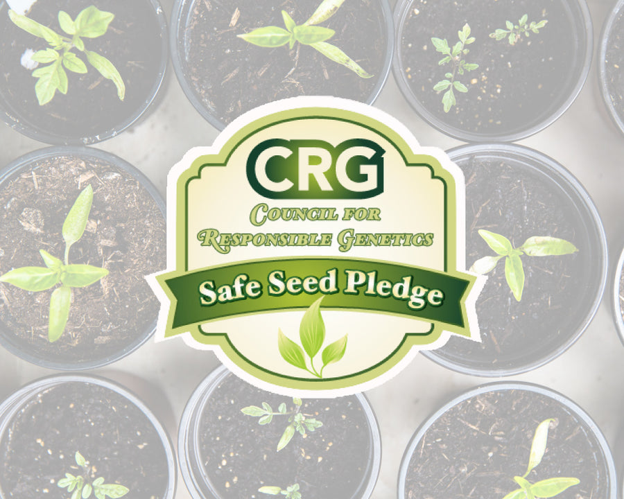Safe Seed Pledge