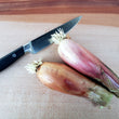 Load image into Gallery viewer, Amish Bottle Onion
