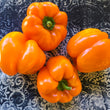 Load image into Gallery viewer, Ariane Sweet Pepper