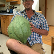 Load image into Gallery viewer, Winter Squash - Blue Hubbard - Very Rare