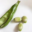 Load image into Gallery viewer, Vespa Fava Bean