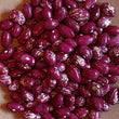Load image into Gallery viewer, Whipple - Dry Bean - DF