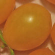 Load image into Gallery viewer, Ildi Cherry Tomato