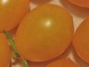 Ildi Cherry Tomato