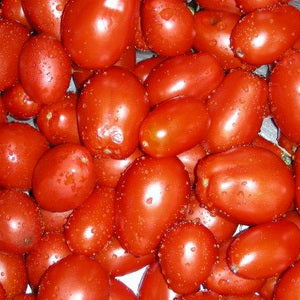 Mishca Paste Tomato