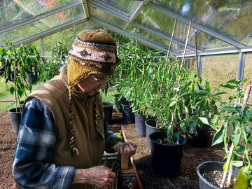 Local Food Security Rooted In Island Growers