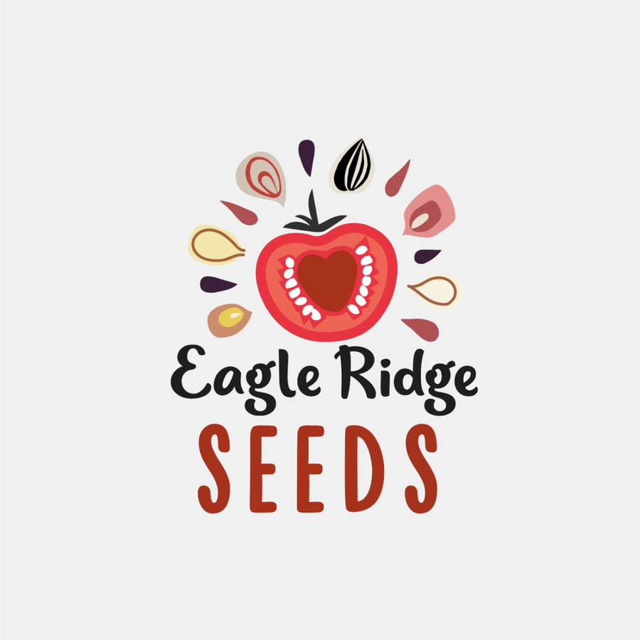 Fall Newsletter - Growing Family & Website Changes