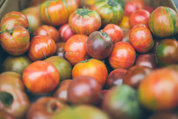 The Secret to Growing Heirloom Tomatoes