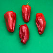 Load image into Gallery viewer, Padron - Hot Pepper
