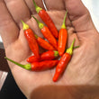Load image into Gallery viewer, Tabasco - Hot Pepper

