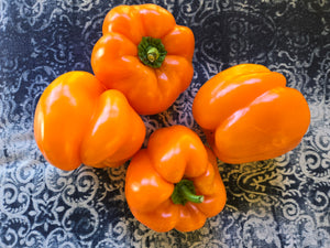 Ariane Sweet Pepper