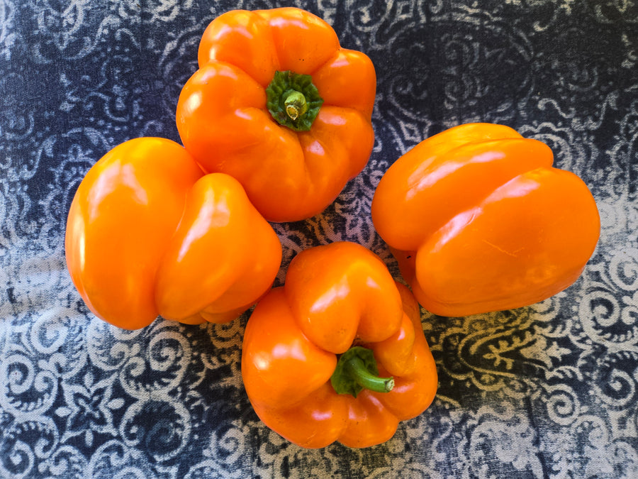 Ariane Sweet Pepper
