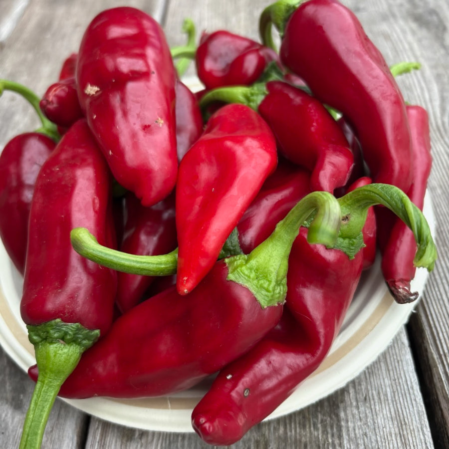 Boldog Hungarian Spice Hot Pepper