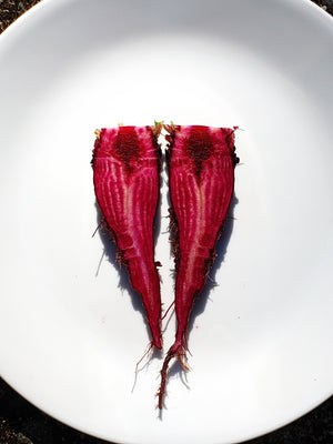 Crapaudine Beet