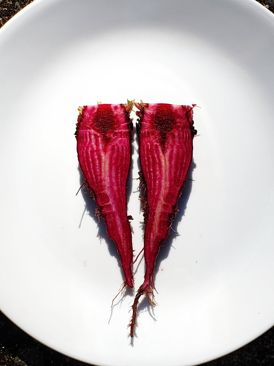 Crapaudine Beet