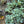 Load image into Gallery viewer, Horehound-Green Pom Pom
