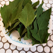 Load image into Gallery viewer, Huazontle - Summer Spinach
