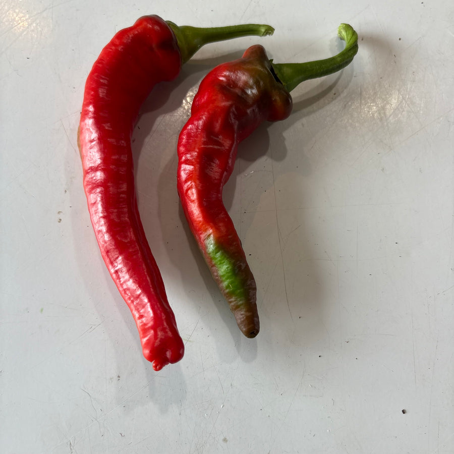 Jimmy Nardello - Sweet Frying Pepper
