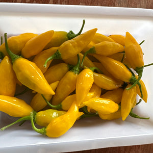 Aji Limon Hot Pepper