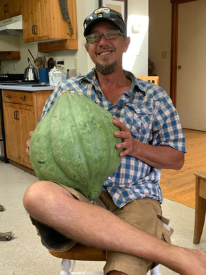 Winter Squash Blue Hubbard - Very Rare