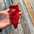 Load image into Gallery viewer, Szegedi - Sweet Pepper
