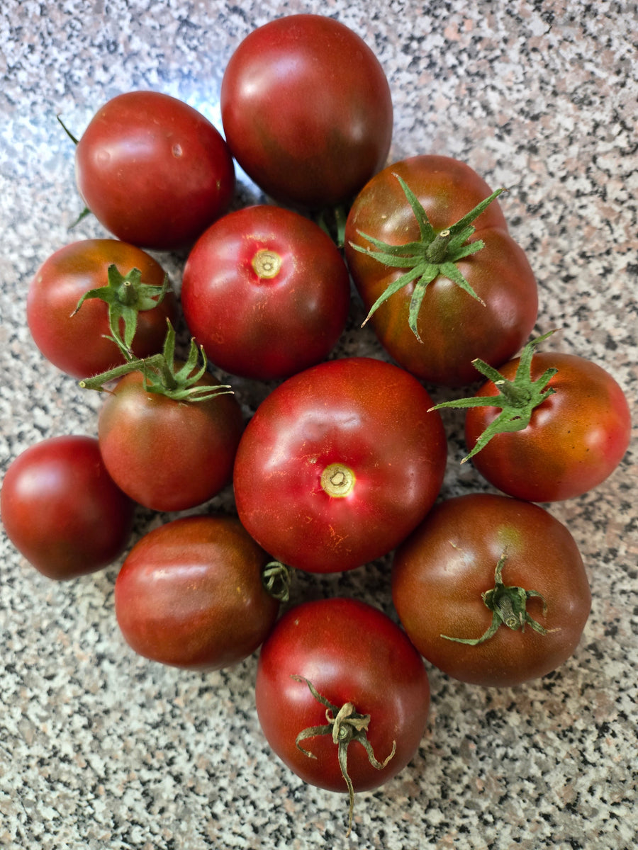 Japanese Black Trifele Early Bush Tomato