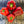 Load image into Gallery viewer, King of the North Sweet Pepper
