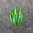 Load image into Gallery viewer, Korean Dark Green Hot Pepper
