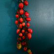 Load image into Gallery viewer, Piennolo Rosso Winter Tomato
