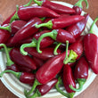 Load image into Gallery viewer, Purple Jalapeno Hot Pepper
