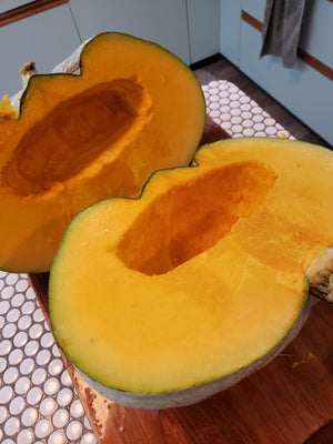 Sweet Meat Oregon Homestead Winter Squash