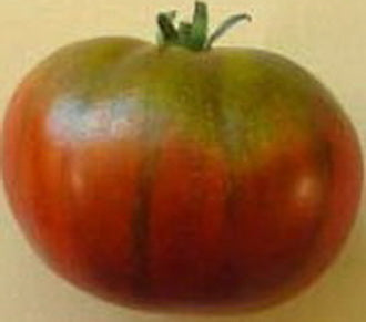 Arbruznyi Beefsteak Tomato