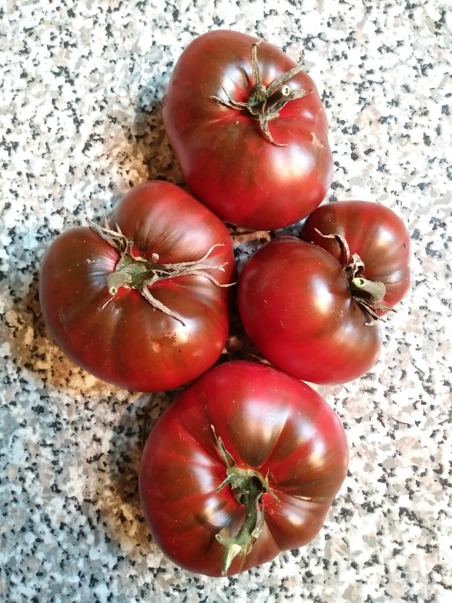 Black Altai - Early Bush Tomato
