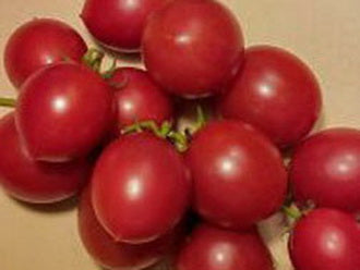 Brandywine Cherry Tomato