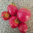 Load image into Gallery viewer, Gregoris Altai Early Bush Tomato
