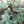 Load image into Gallery viewer, Horehound-Green Pom Pom
