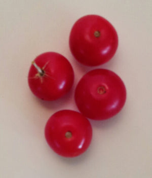 House Cherry Tomato