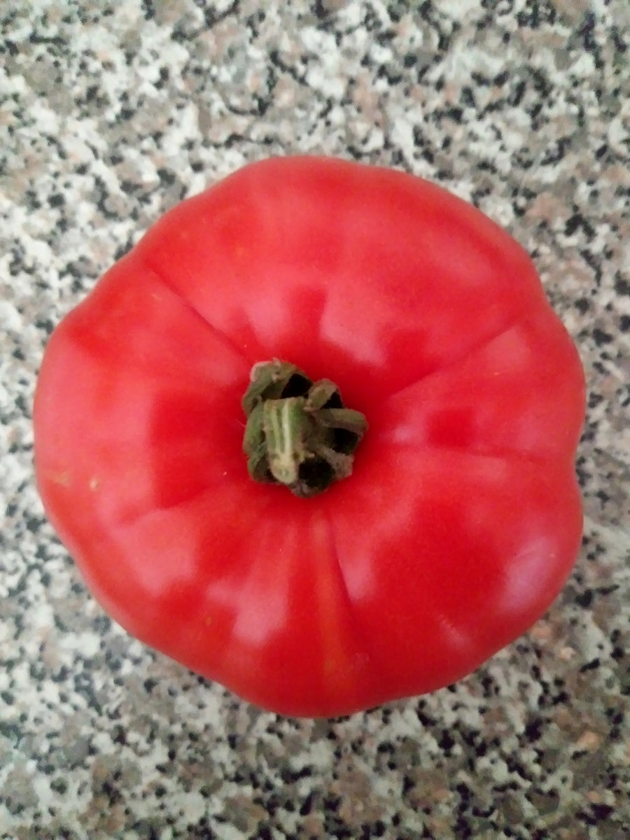 Slicing Tomato Seeds - Pink Brandywine