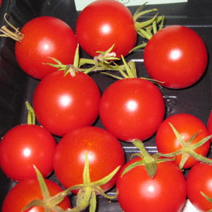 Lunchbucket Cherry Tomato