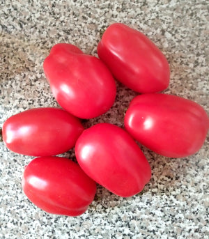 Myona Paste Tomato