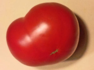 Sudduth's Beefsteak Tomato