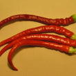 Load image into Gallery viewer, Sweet Cayenne Pepper
