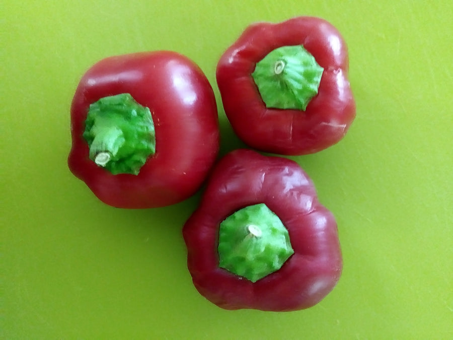 Topepo Rosso - Pimento Pepper