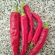 Load image into Gallery viewer, Black Cobra Hot Pepper
