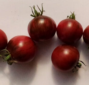 Violet Jasper Cherry Tomato